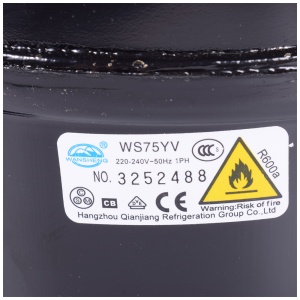 картинка Компрессор холодильника в Сервисном центре «Близнецов»