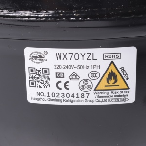 картинка Компрессор WX70YZL холодильника в Сервисном центре «Близнецов»