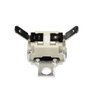 картинка Термостат пароочистителя в Сервисном центре «Близнецов»