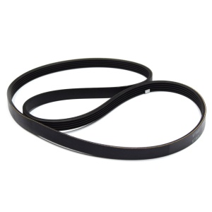 картинка Ремень приводной стиральной машины, "1016 J5" в Сервисном центре «Близнецов»