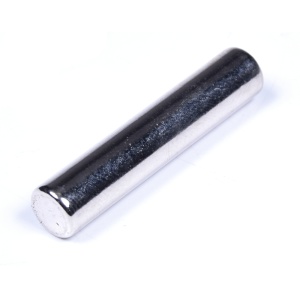 картинка Магнит двери холодильника в Сервисном центре «Близнецов»